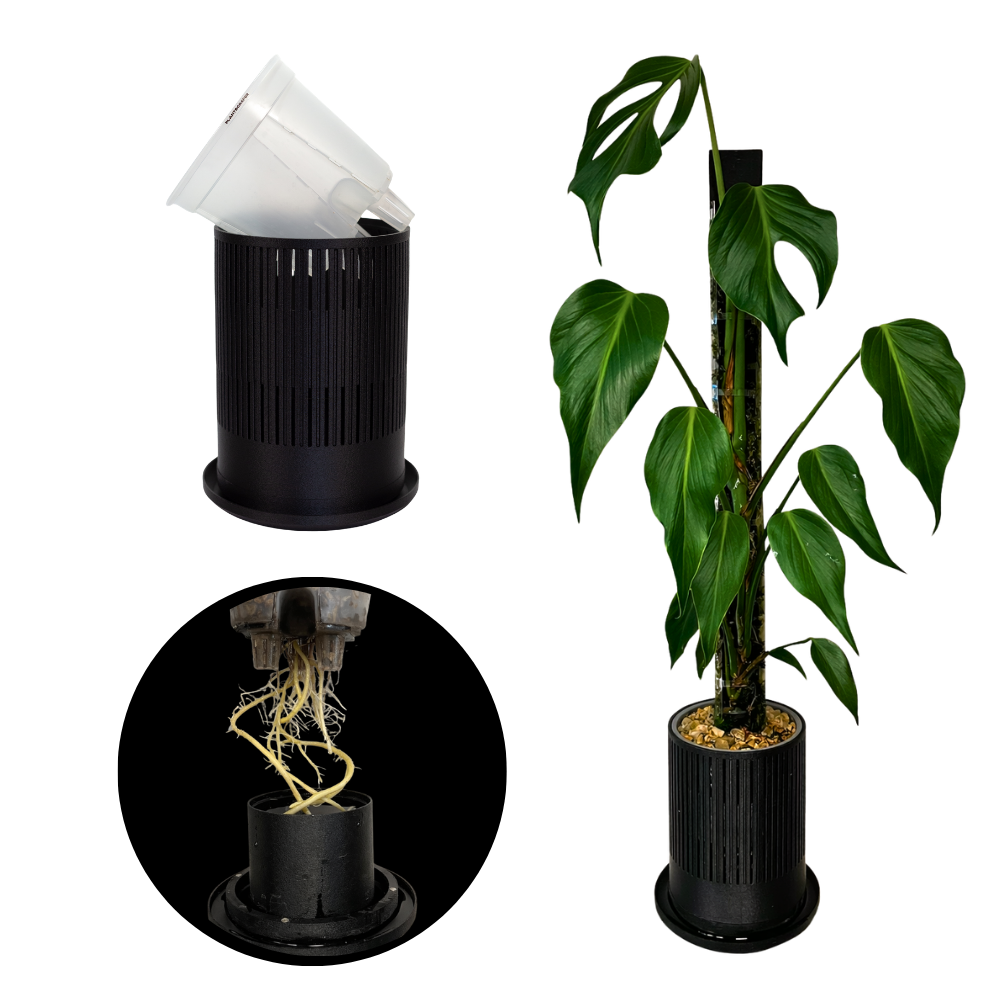Pot Cover for Aroid Pots – Prevent Root Spiraling with Superior Airflow