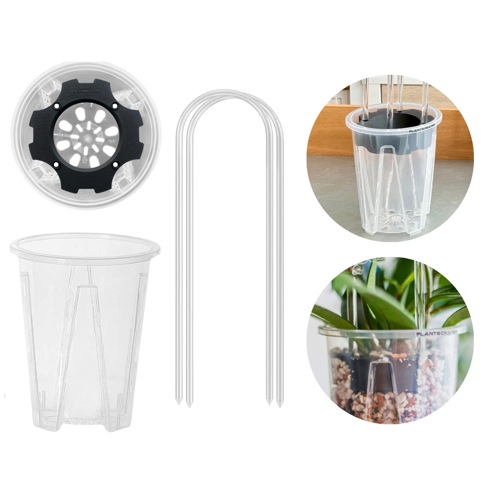 plastic plant anchors Clear Arch Trellis – Minimalistic U-Shaped Support for Climbing Plants and Hoyas
