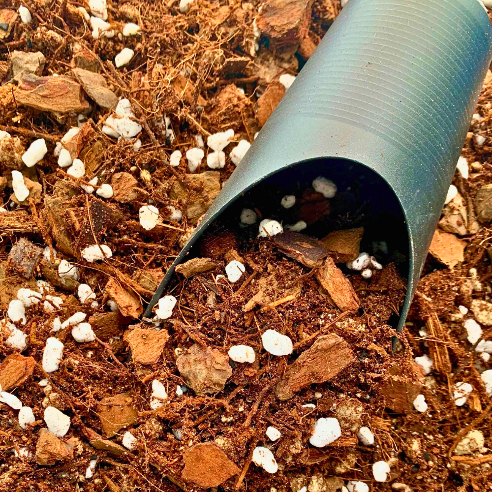 Substrate Scoop