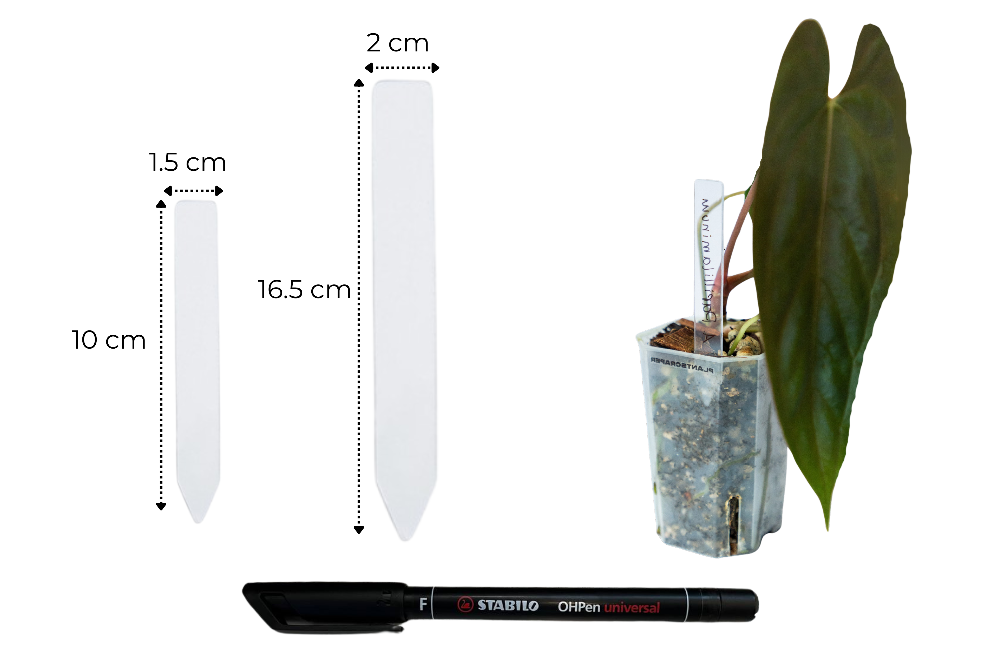 Acrylic Plant Tags
