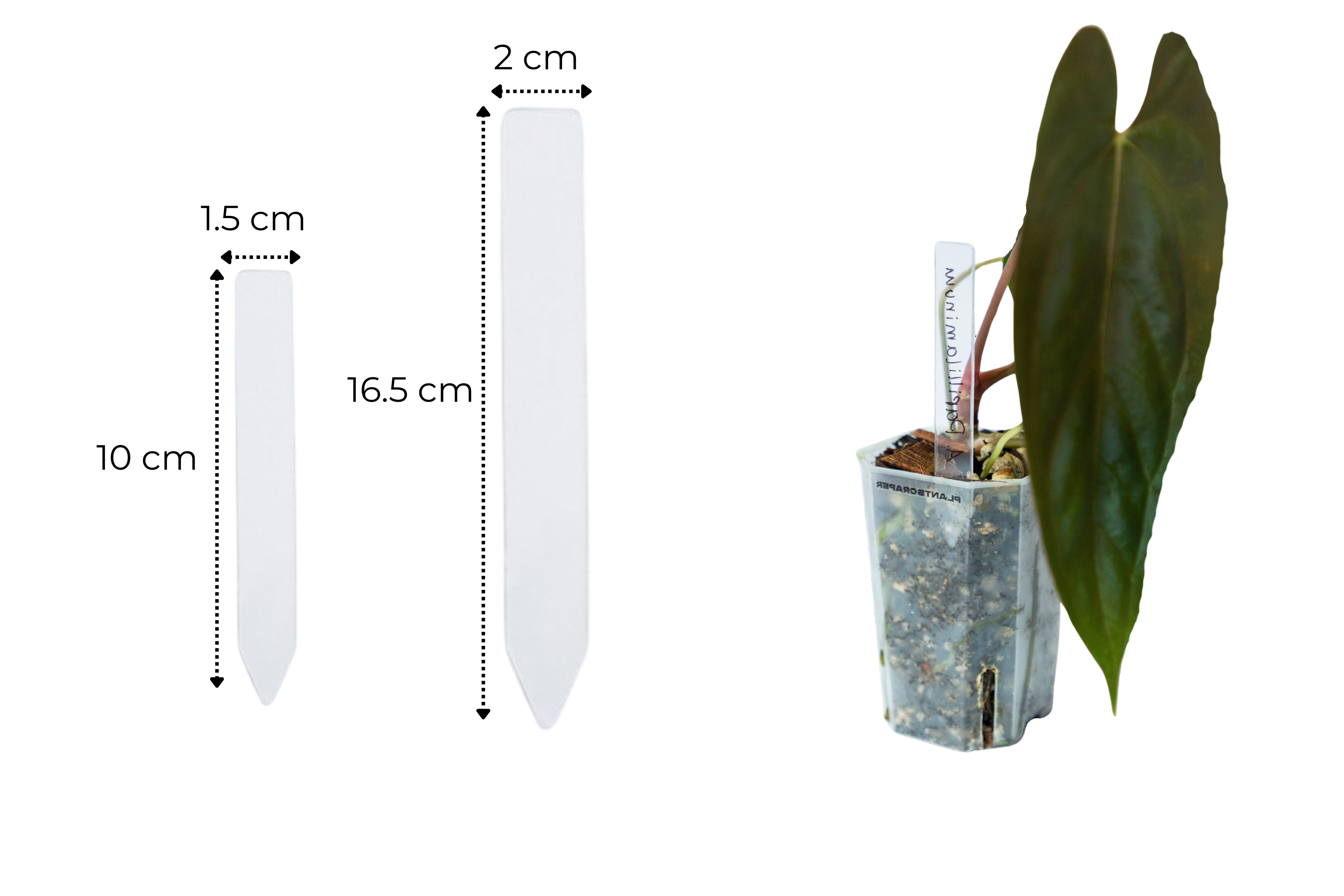Acrylic Plant Tags