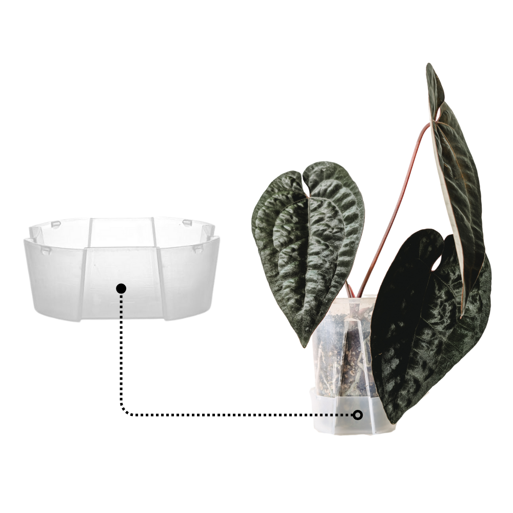 plant saucer clear Crystal Clear Pot Saucers – Transparent Vinyl Plant Trays with Airflow  Design