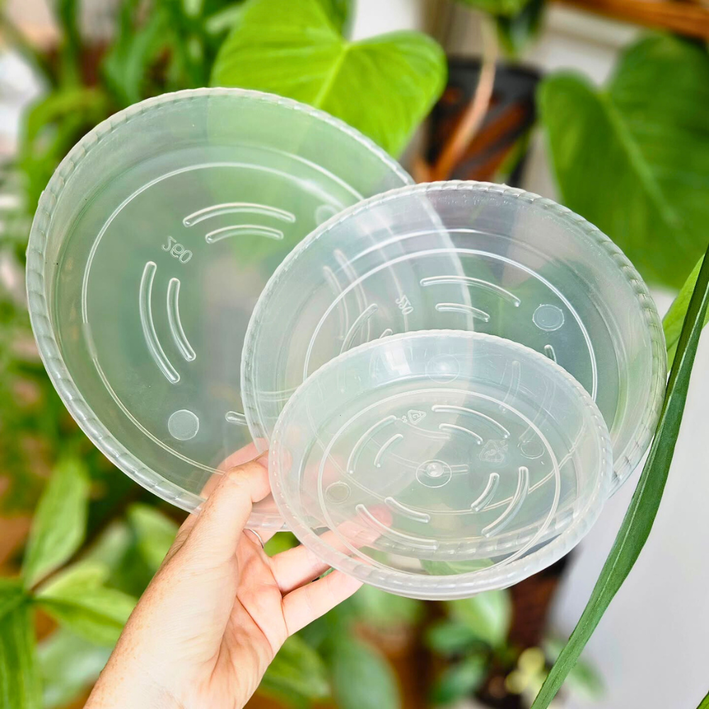 Crystal Clear Pot Saucers