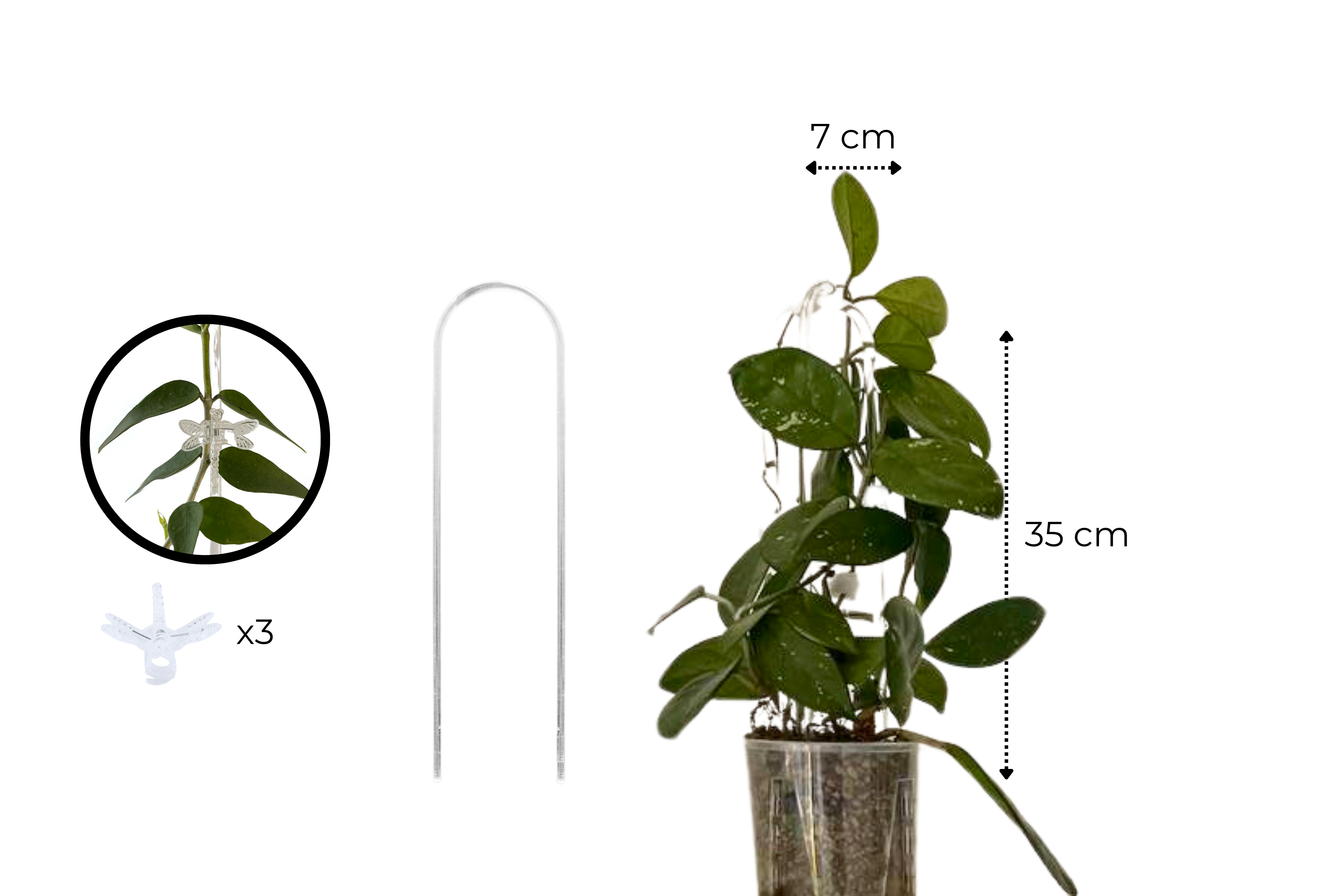 Clear Arch Trellis / U-Shaped Plant Support