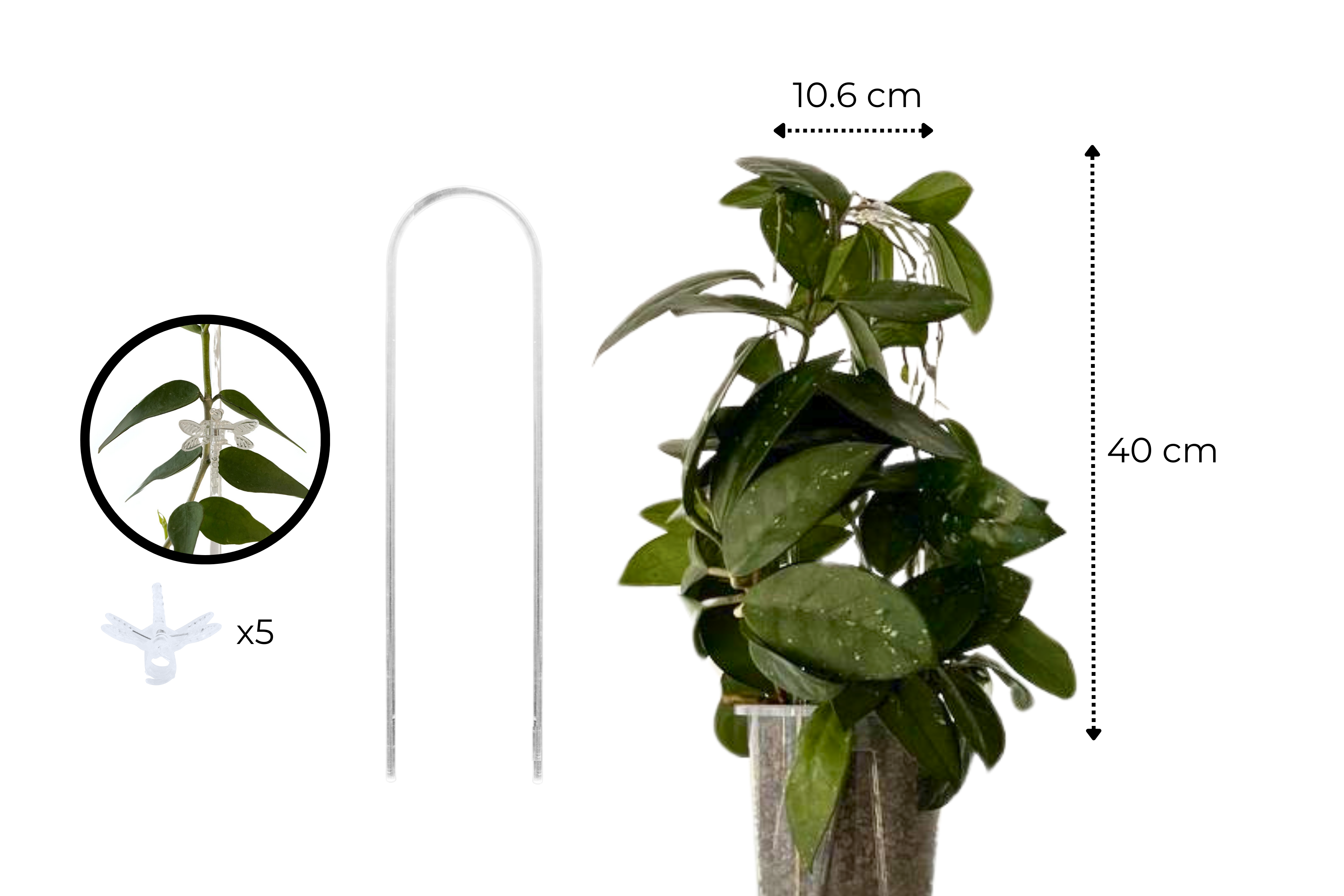 Clear Arch Trellis / U-Shaped Plant Support