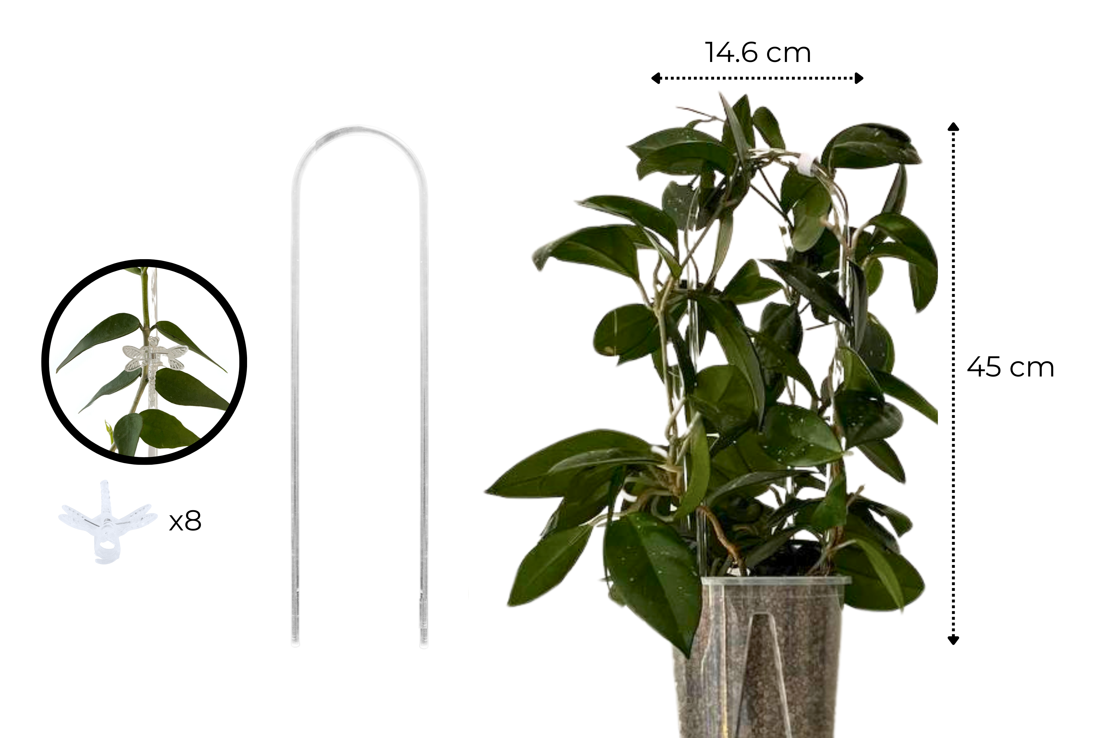 Clear Arch Trellis / U-Shaped Plant Support