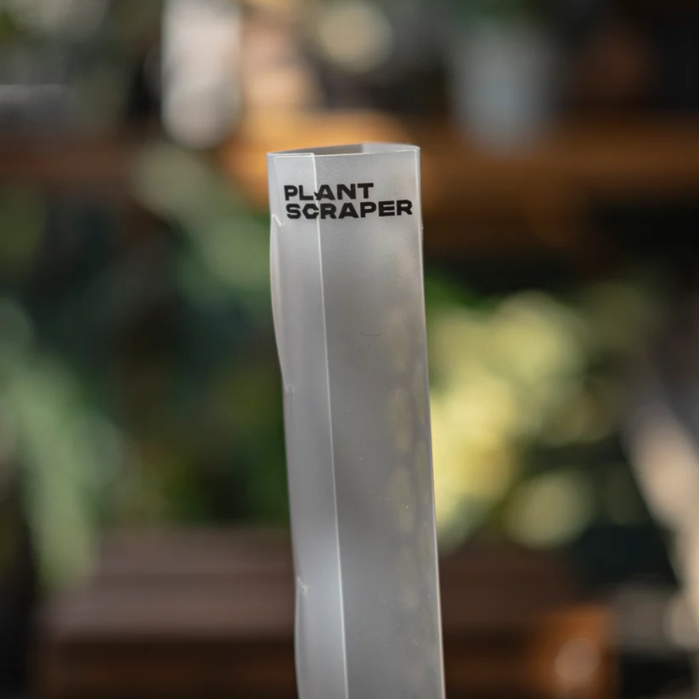 Moss Poles [Classic]