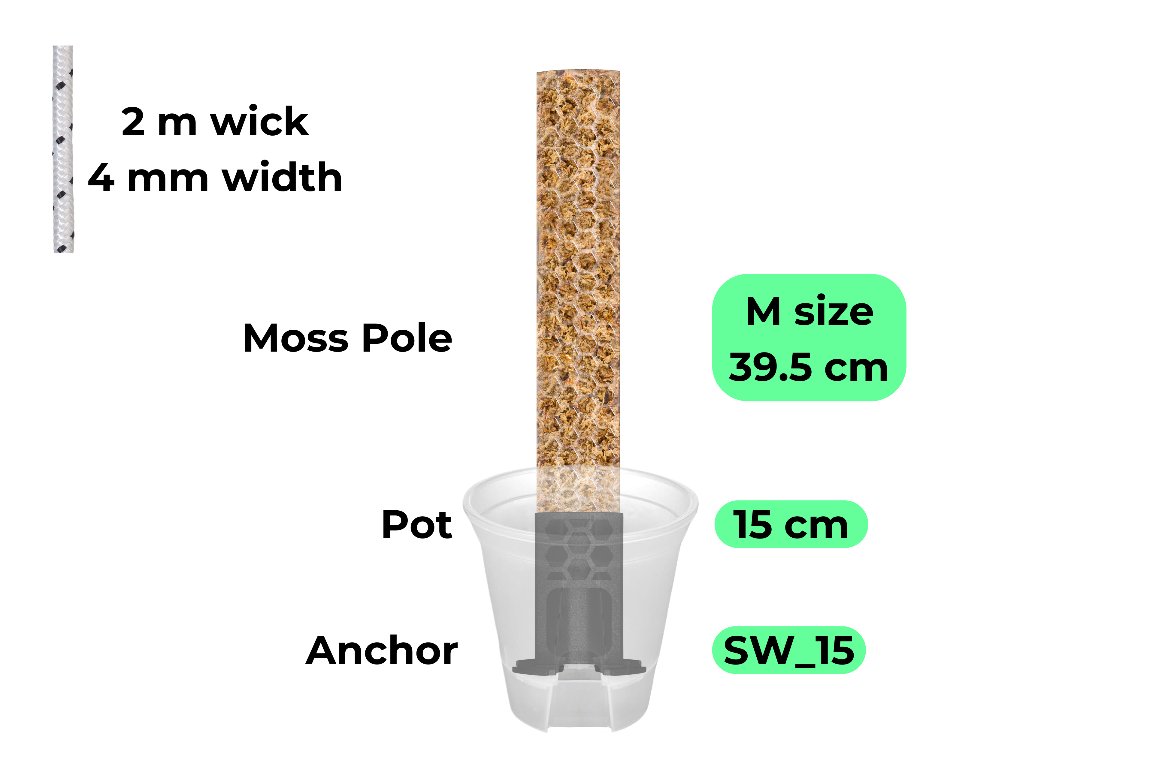 Self-Watering Anchor Set / Anchor, Pot & Pole [Classic Line]