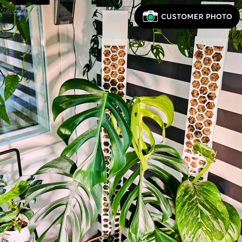 Moss Poles [Classic]