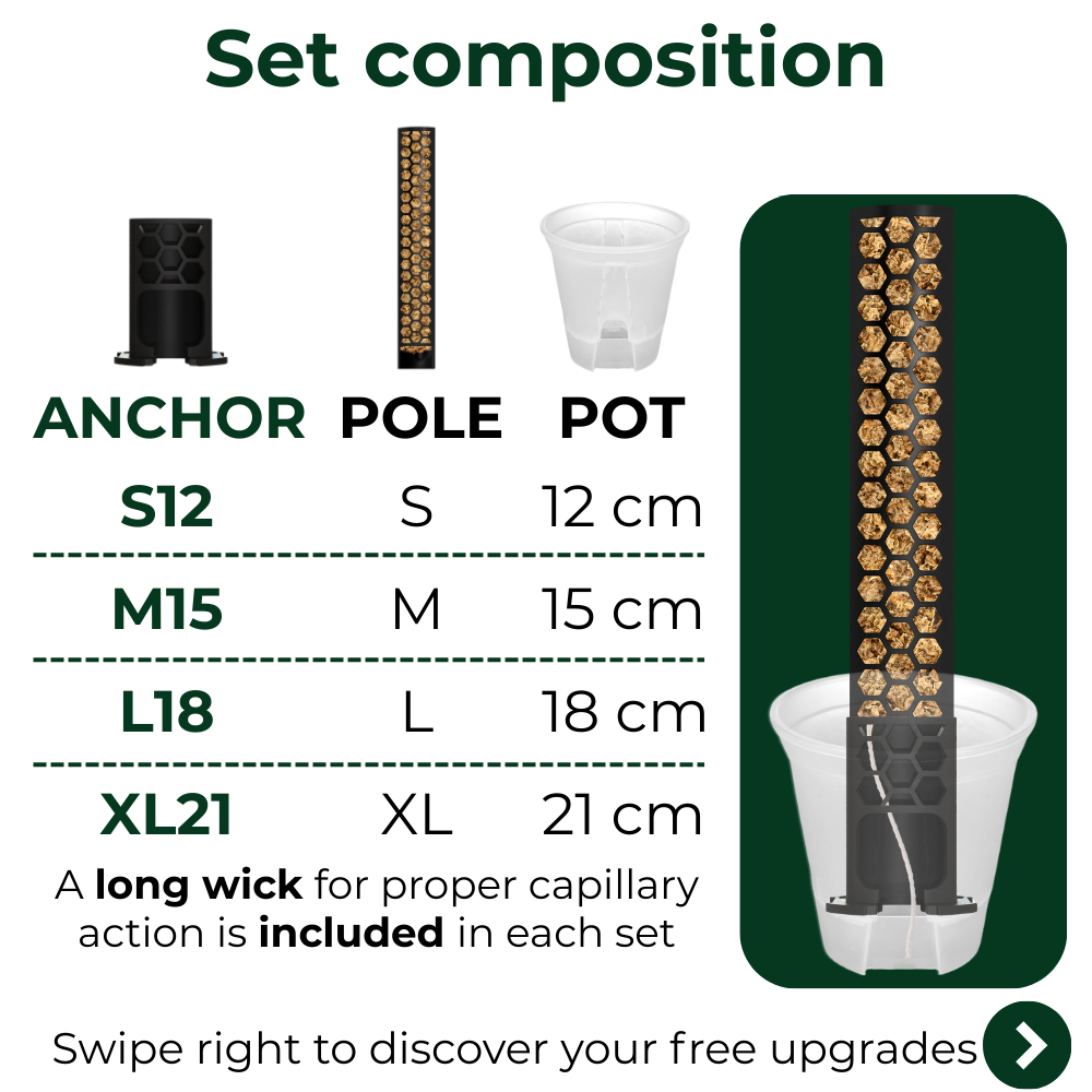 Anchor Set for Moss Poles with Self-Watering System [Classic]