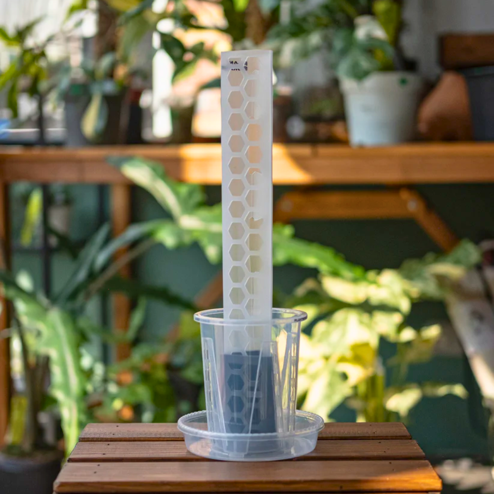 Anchor Set for Moss Poles [Classic]