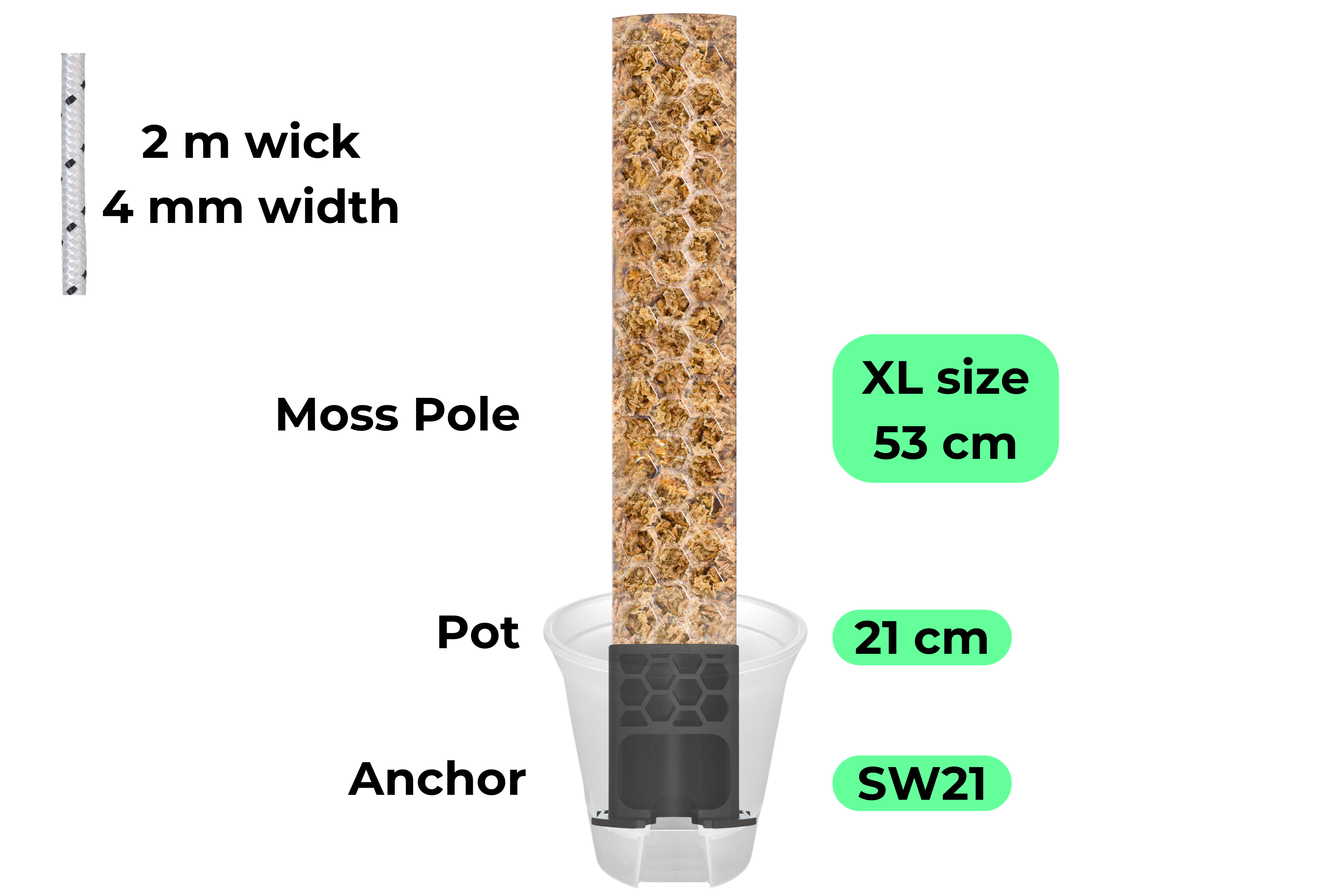 Self-Watering Anchor Set / Anchor, Pot & Pole [Classic Line]