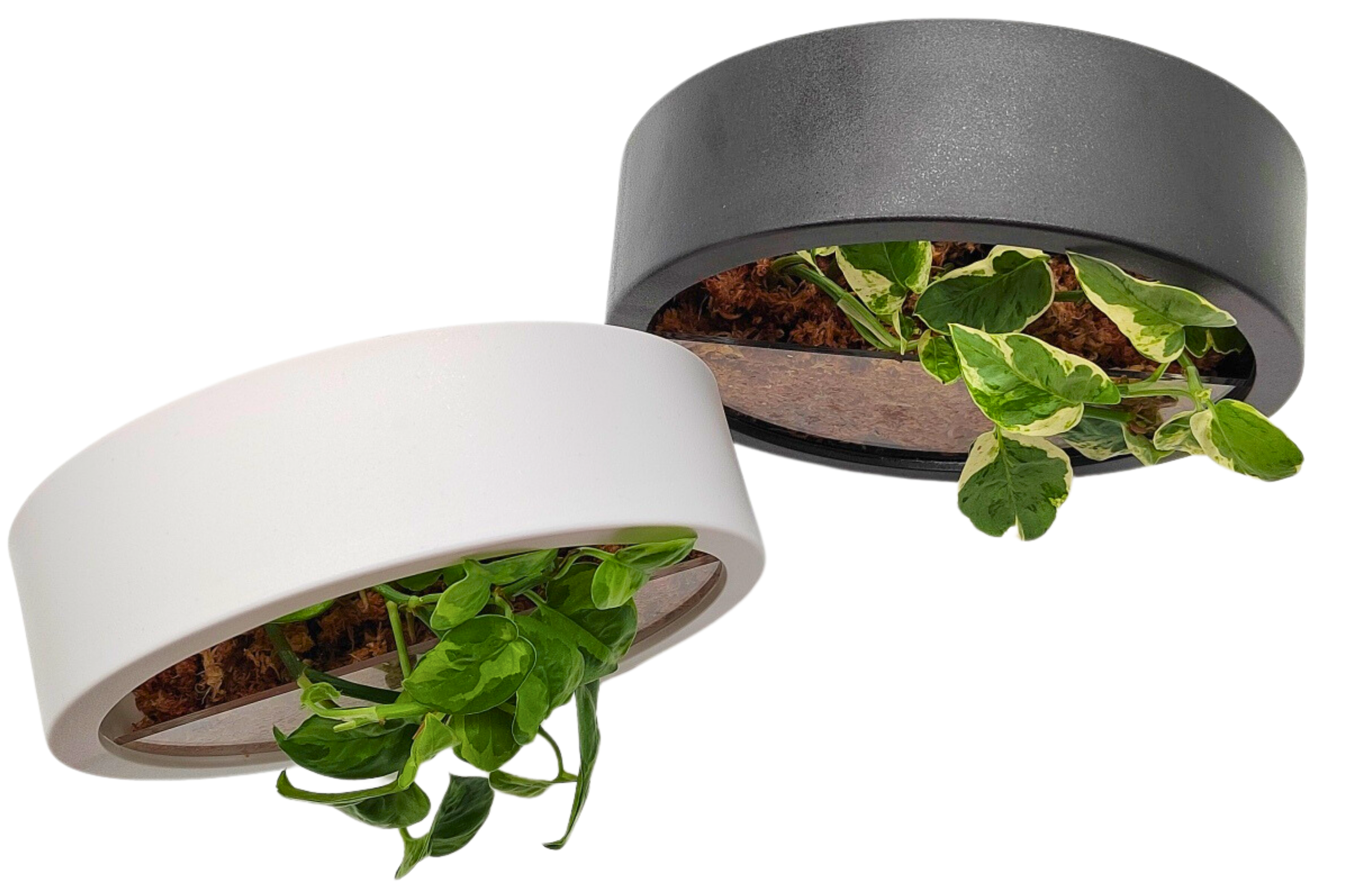 Hydroponic Wall Hanging Pot