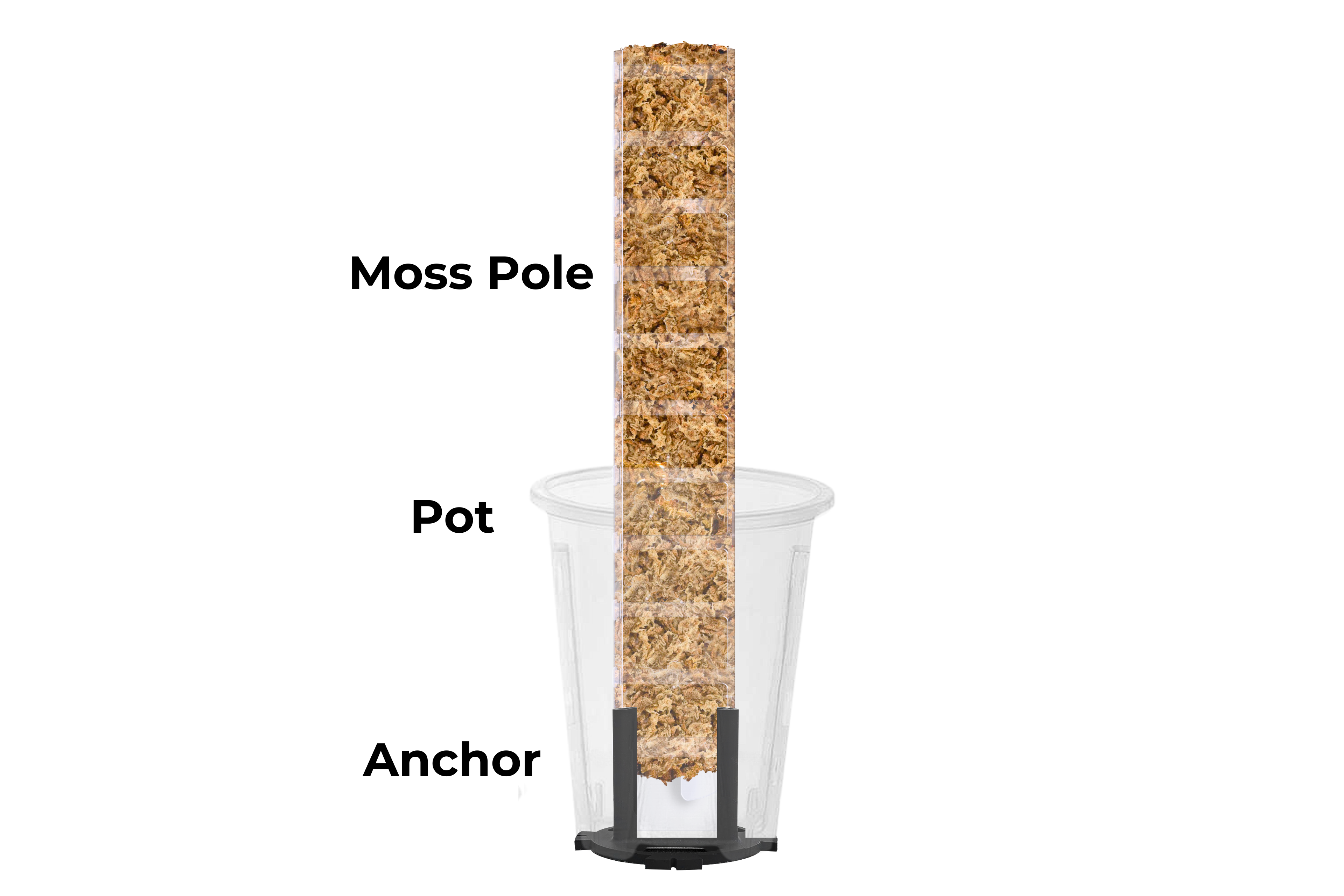 Standalone Anchor [Prime Line]