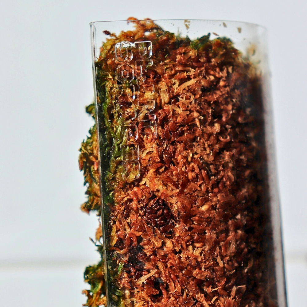 Front Opening Moss Poles