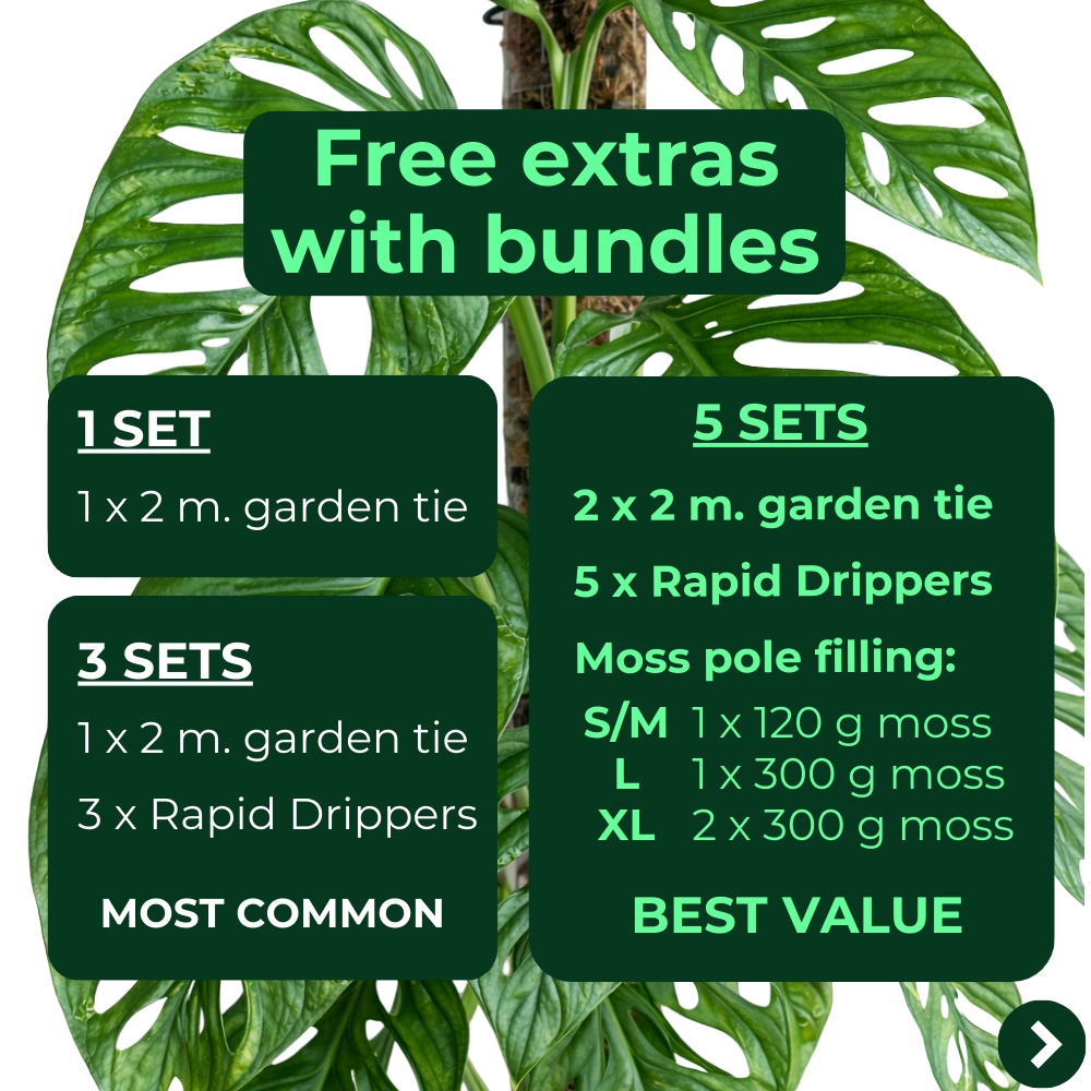 plant ties for moss pole Self-Watering Anchor Set – Stabilize Moss Poles with Integrated Pot and Pole System