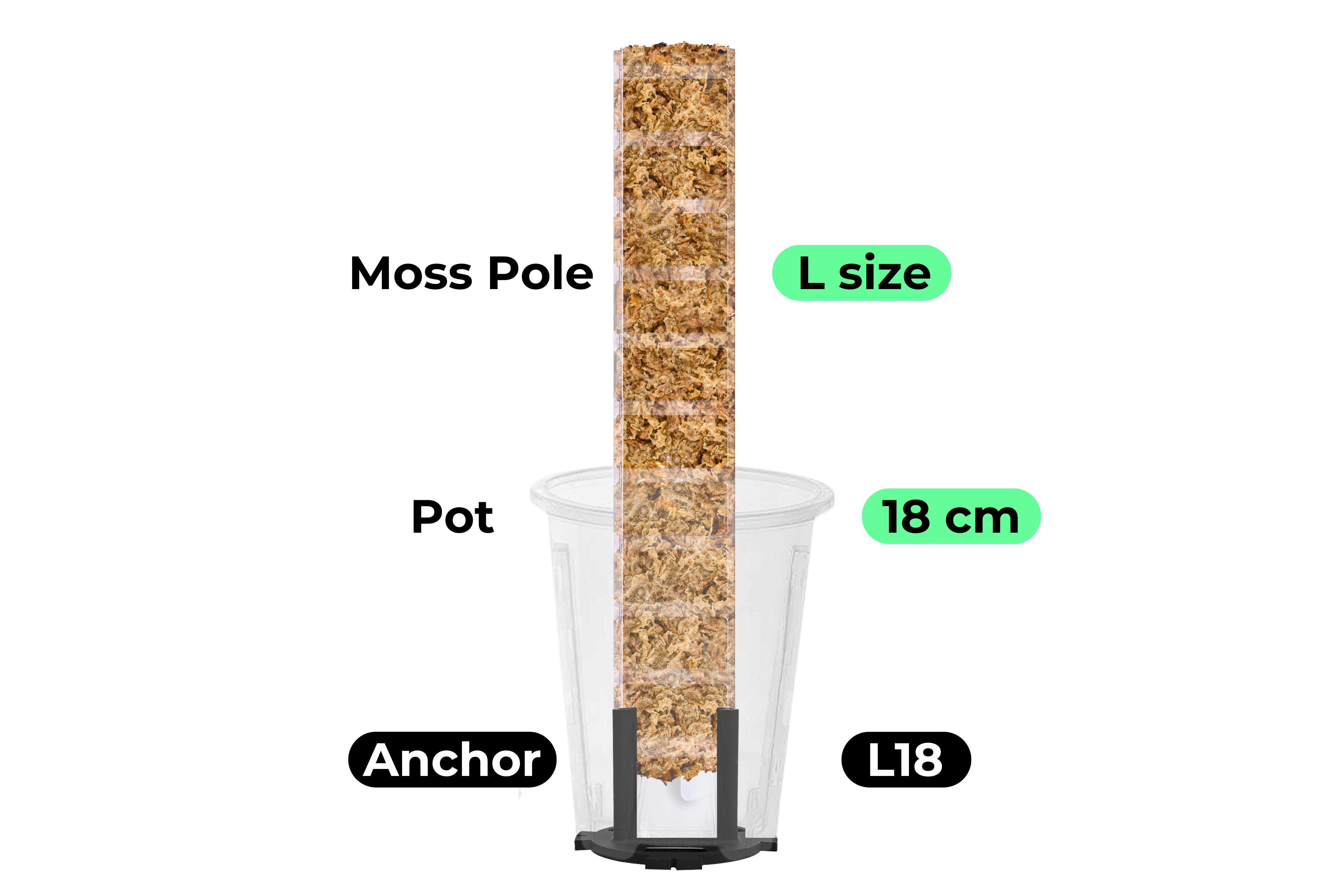 Standalone Anchor [Prime Line]