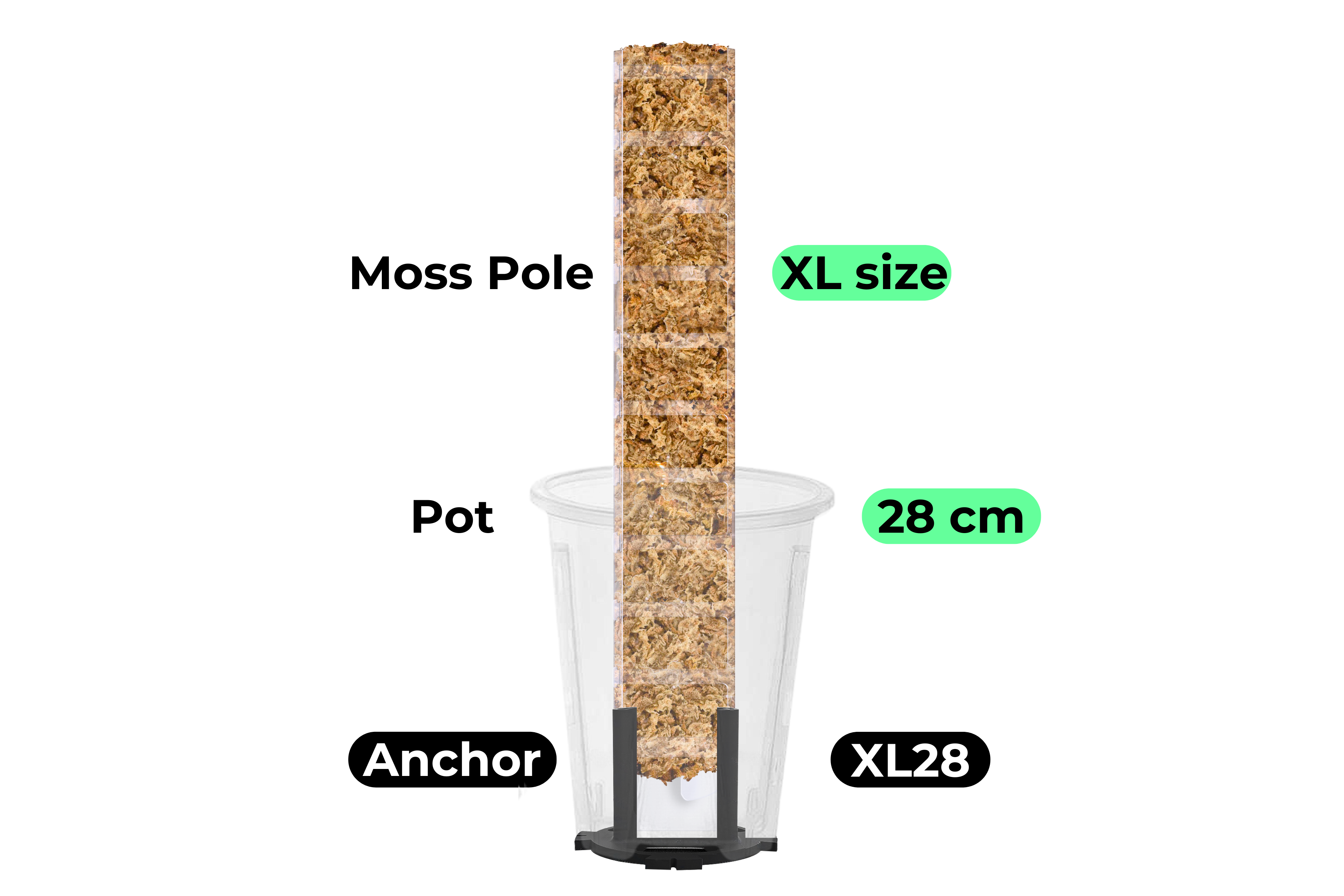 Standalone Anchor [Prime Line]