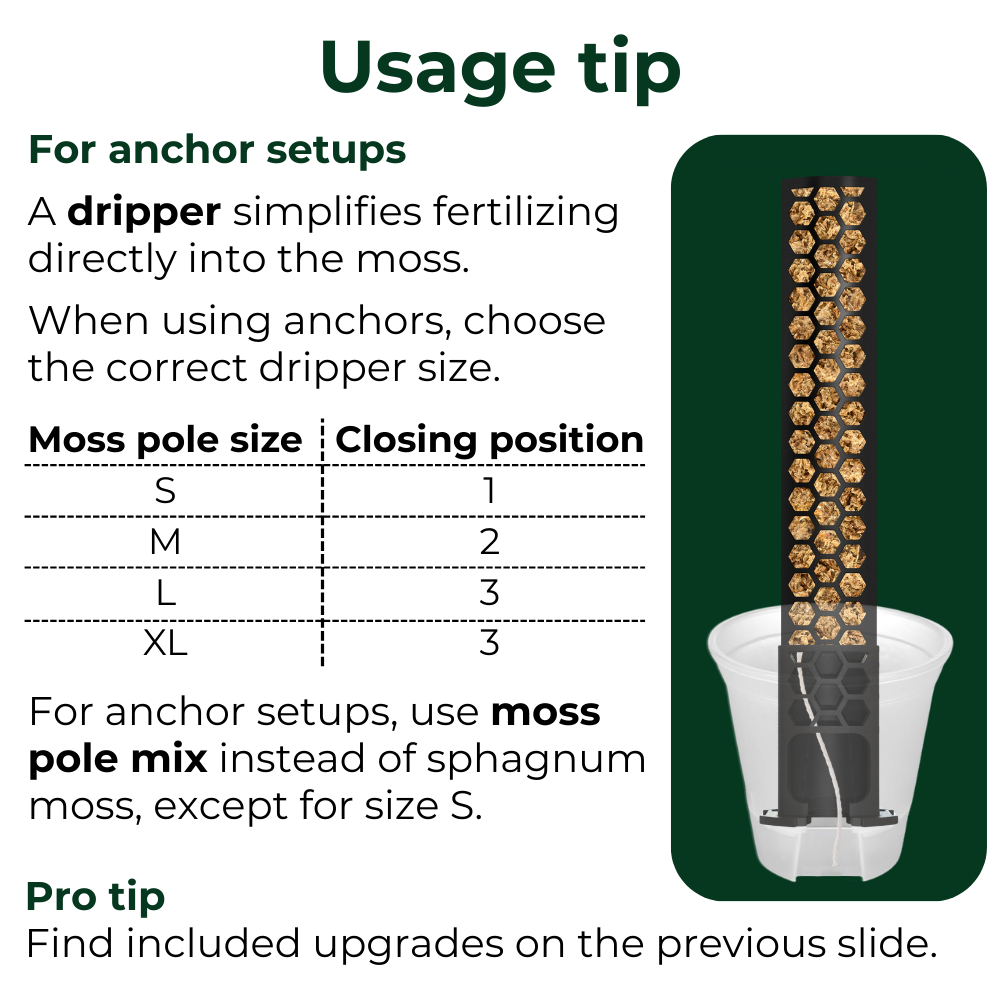 Anchor Set for Moss Poles with Self-Watering System [Classic]