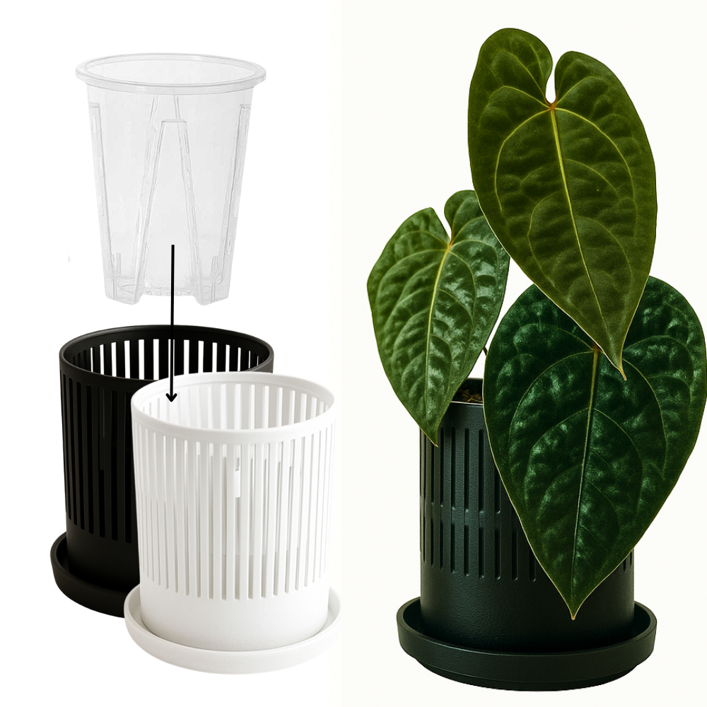 Ventilated Covers for Aroid Pots