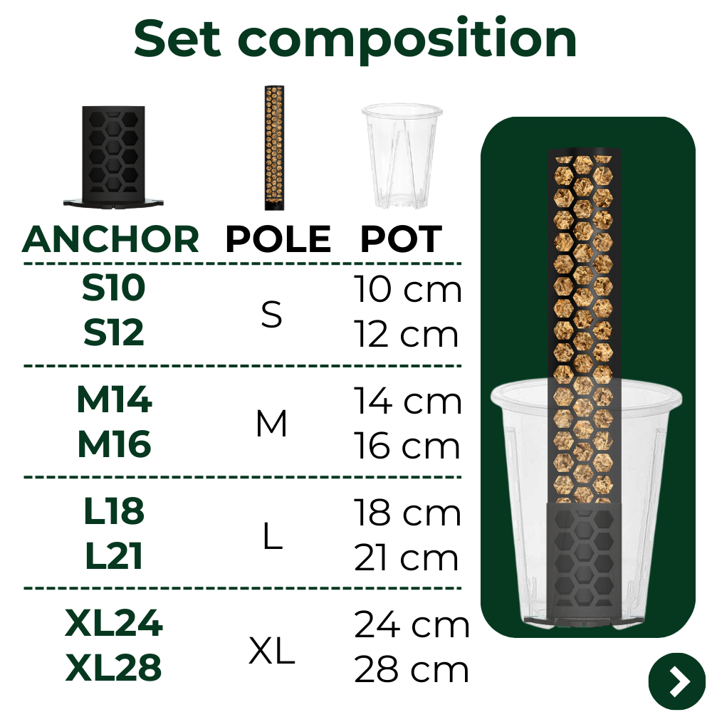 Anchor Set for Moss Poles [Classic]