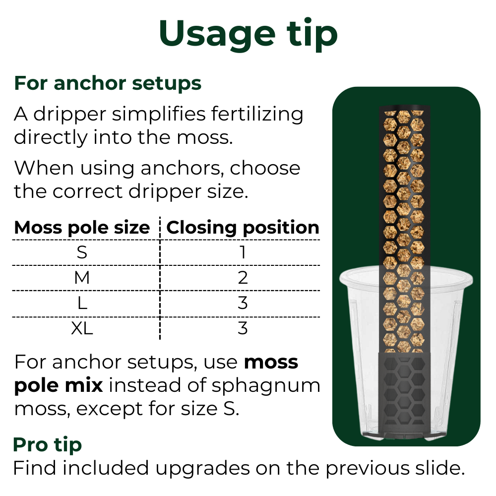 moss pole materials Moss Pole Anchor - Enhance Stability for Climbing Plants