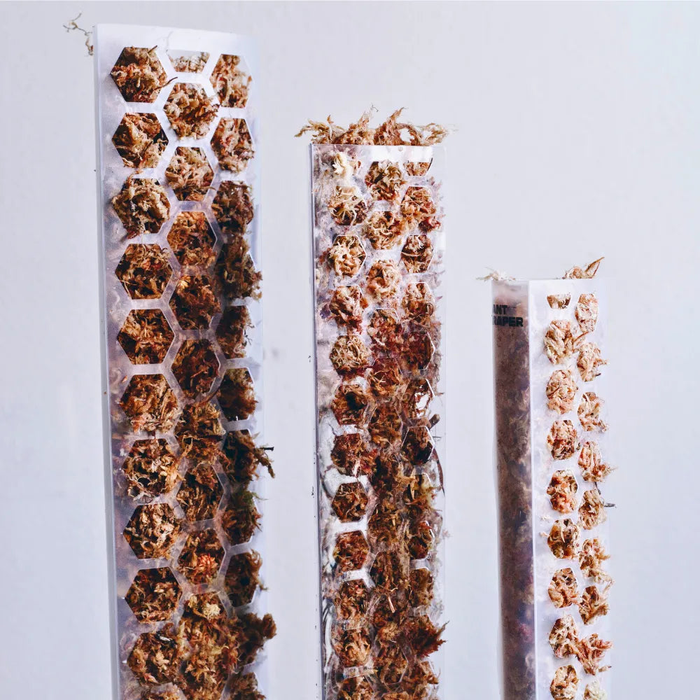 Three vertical rows of moss poles showing three different sizes on a light gray background.