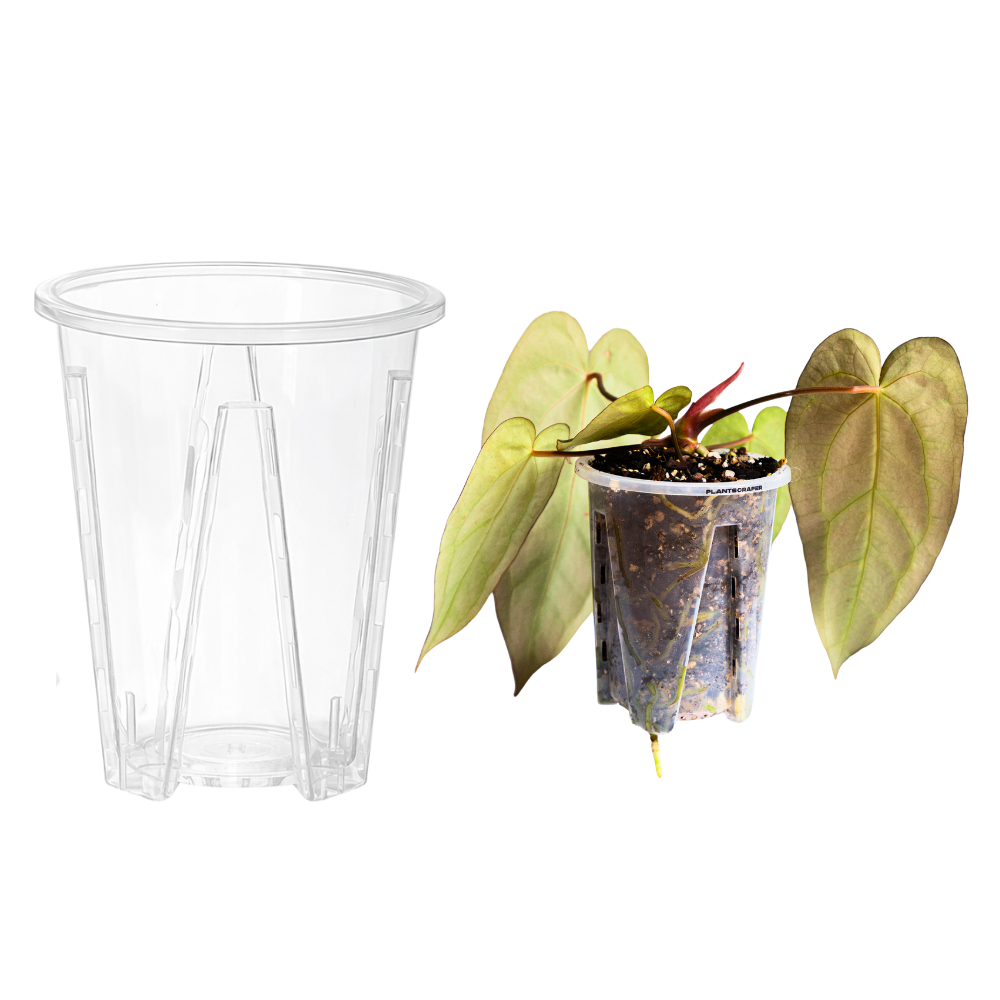 aroid mix for philodendron Premium Aroid Mix – Ideal Potting Soil for Philodendron, Monstera, and More