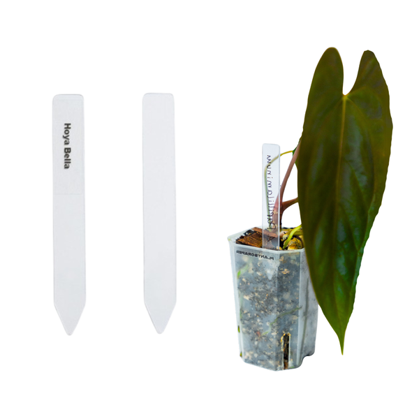 plastic plant tags wholesale Transparent Acrylic Plant Tags – Durable and Reusable Garden Labels