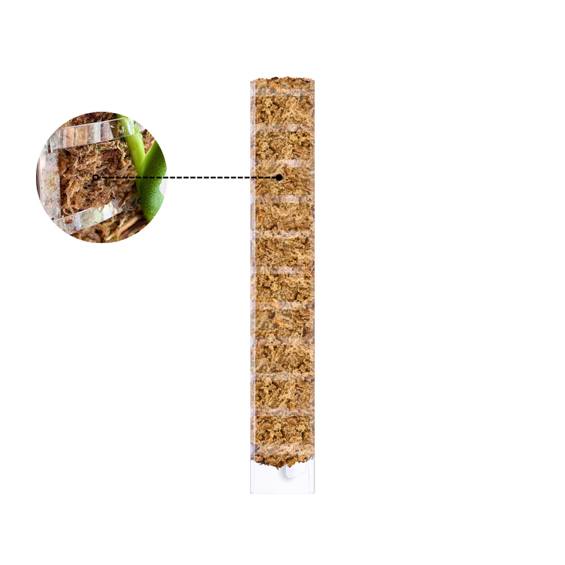 All Indoor Plant Care Products – Moss Poles, Trellises, Pots ...