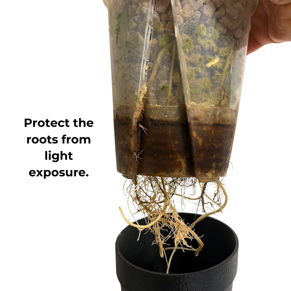 Sealed Covers for Aroid Pots [Self-Watering System]