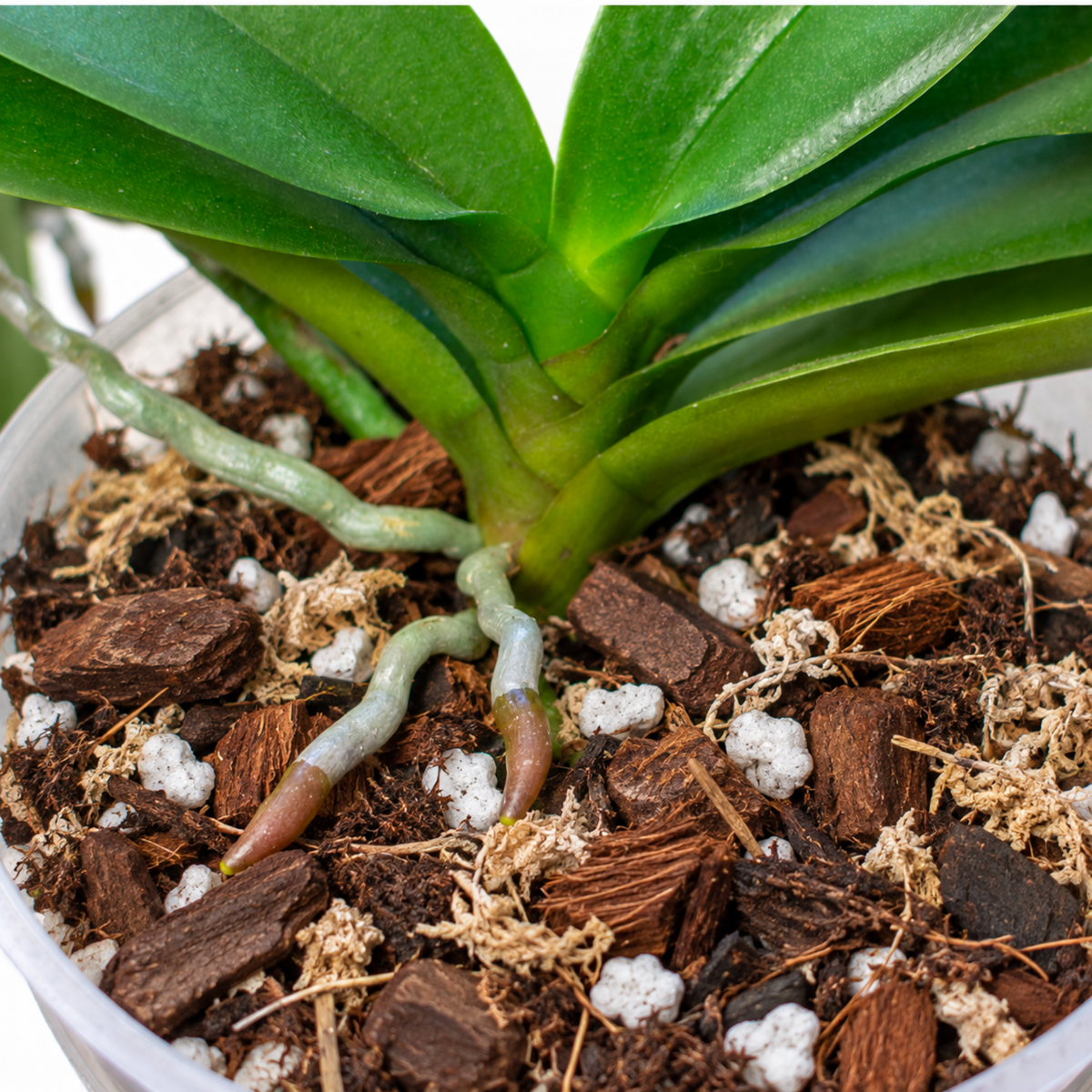 Orchid mix 8.5 L