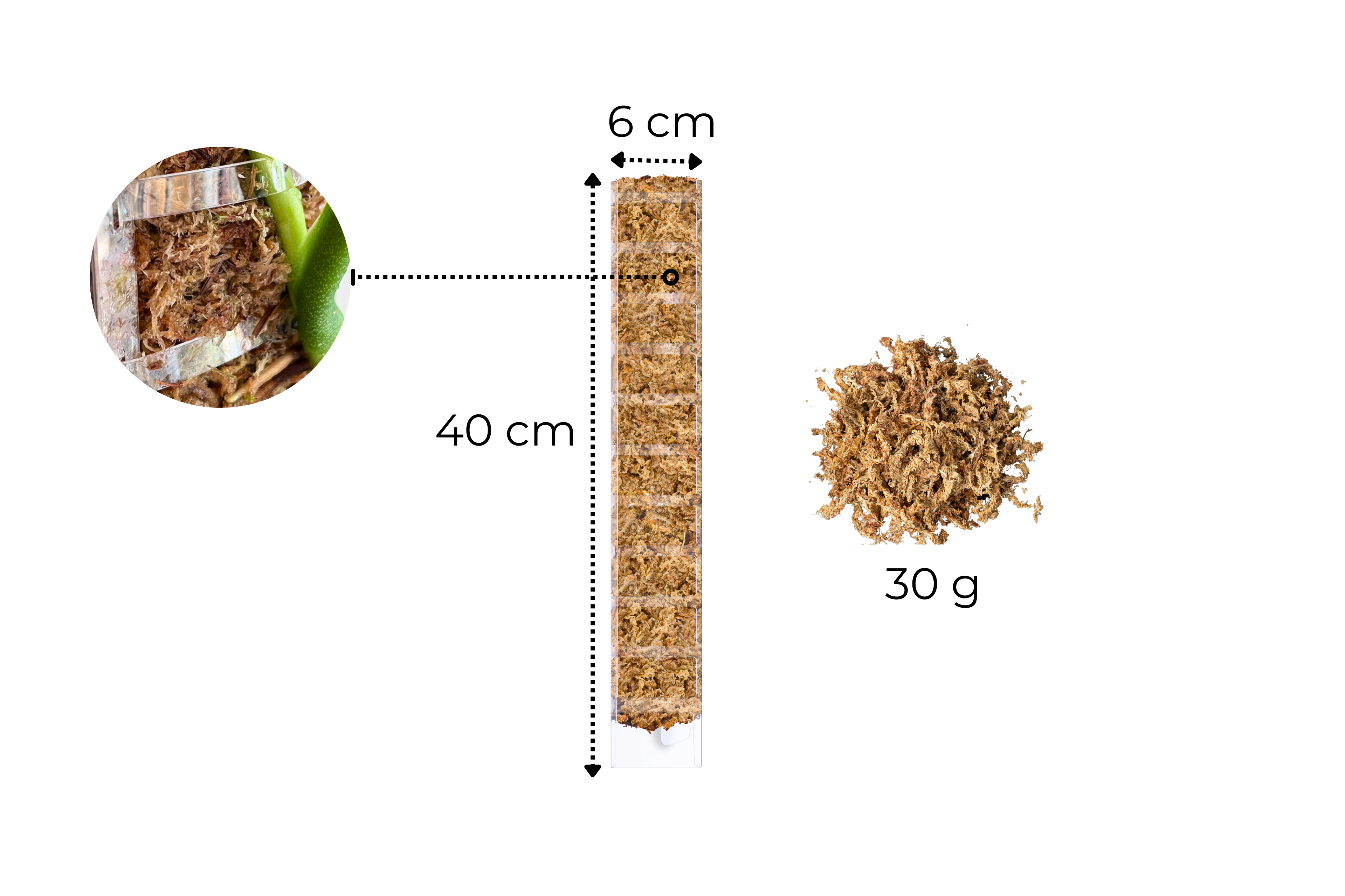 Front Opening Moss Poles [Prime Line]