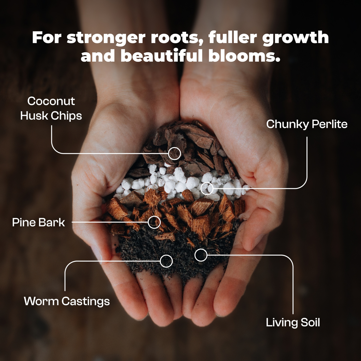 Hoya mix 8.5 L