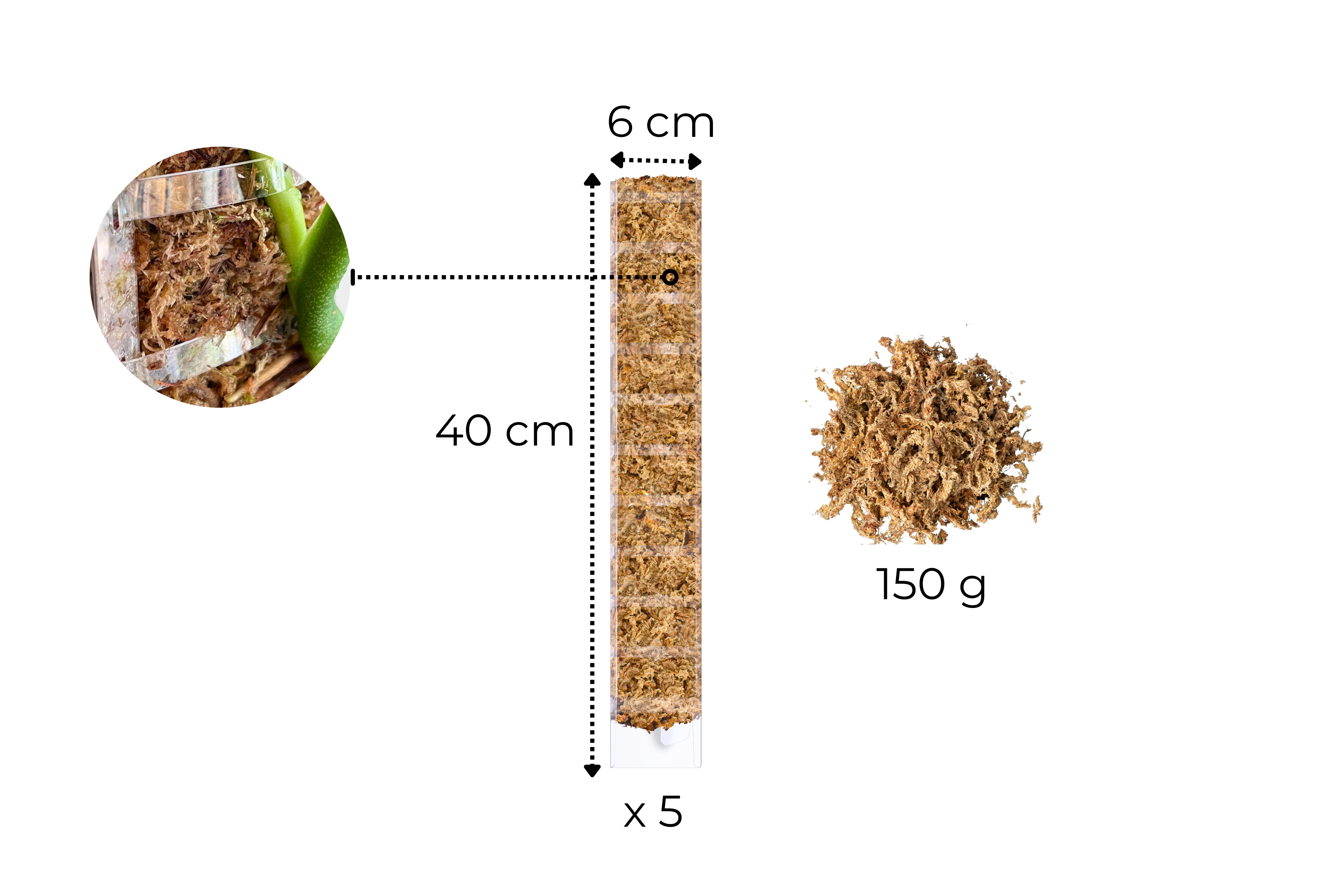 Front Opening Moss Poles [Prime Line]