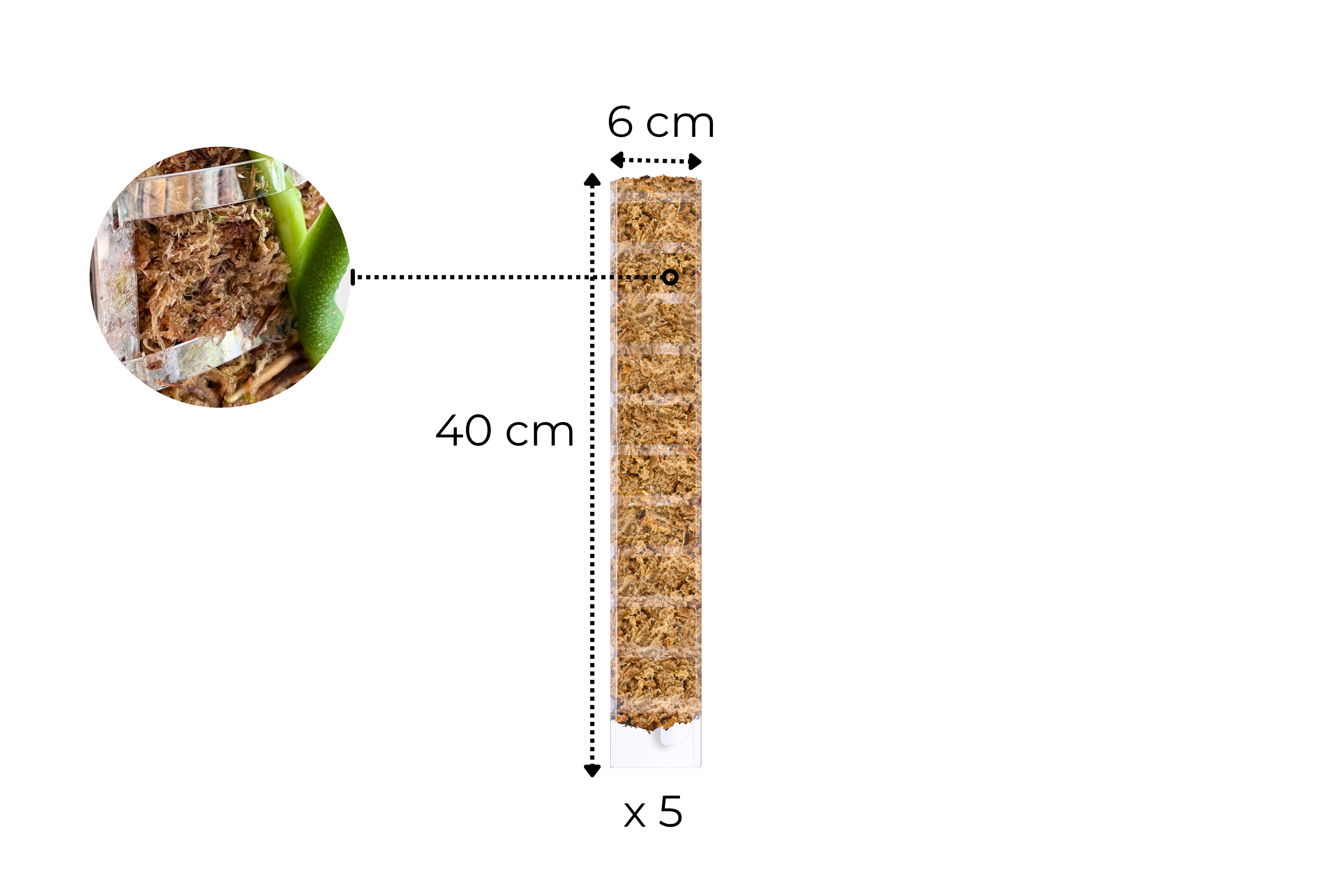 Front Opening Moss Poles [Prime Line]