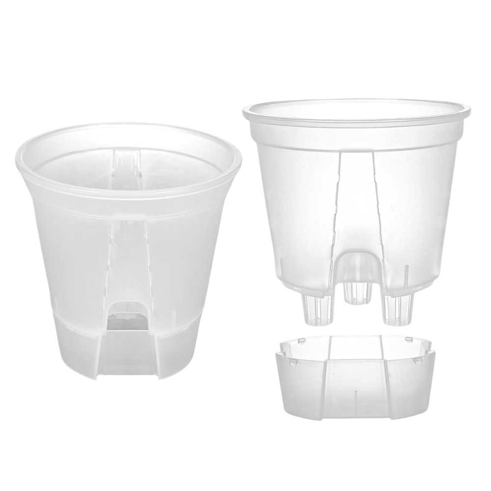 Self-Watering Aroid Pots