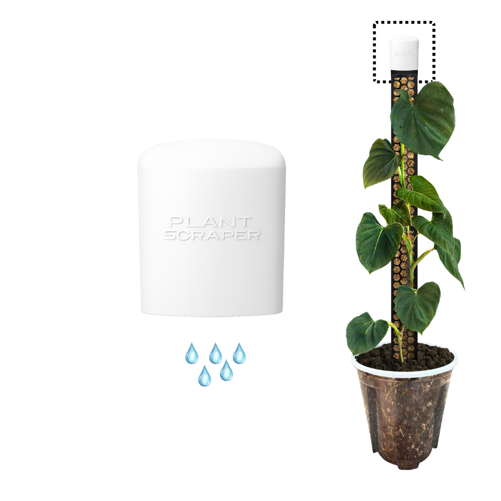 Moss Pole Rapid Dripper [Classic]