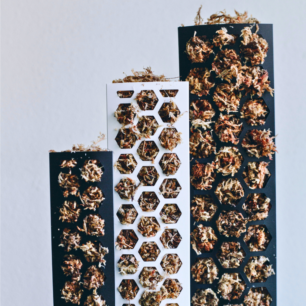 Moss Poles [Classic]