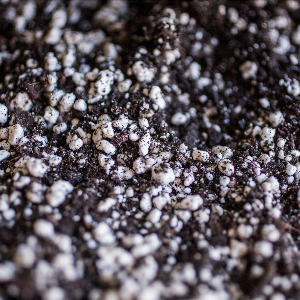Fine Seeding Mix 8.5L