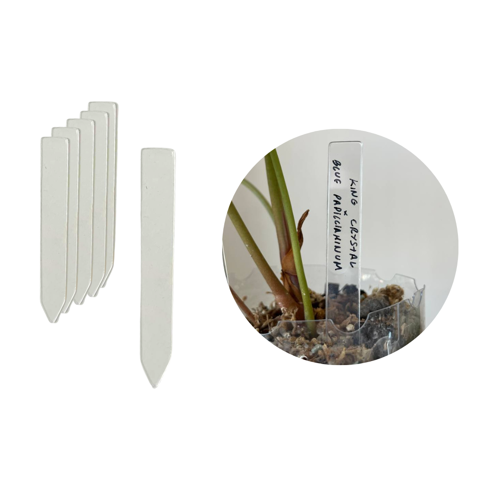 plastic plant tags wholesale Transparent Acrylic Plant Tags – Durable and Reusable Garden Labels