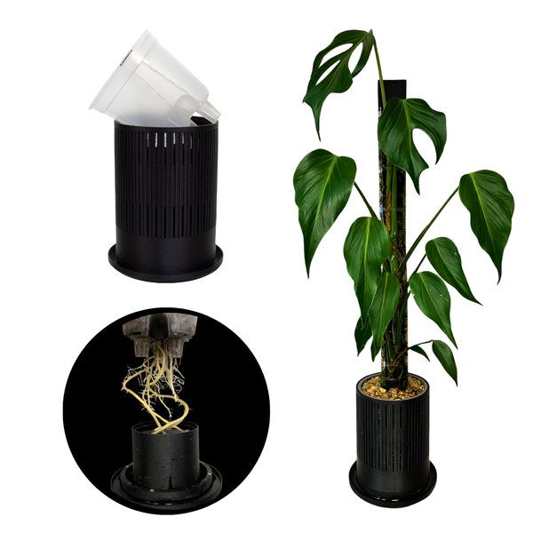 indoor plant cover Pot Cover for Aroid Pots – Prevent Root Spiraling with Superior Airflow