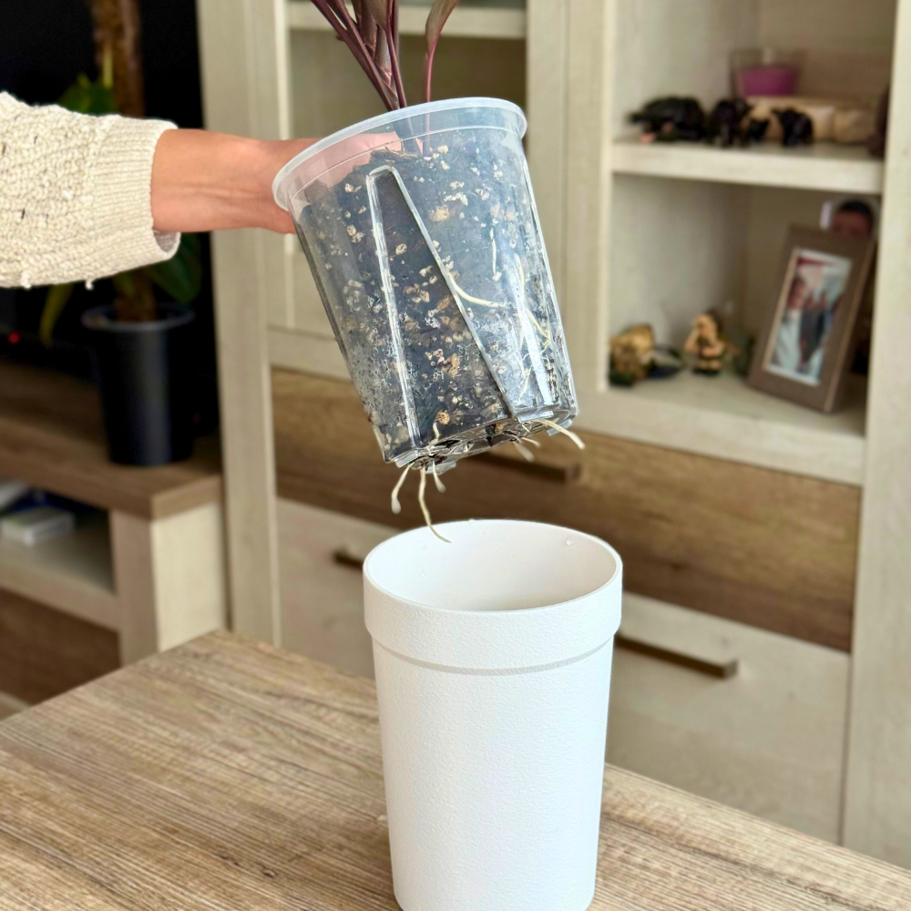 covering plastic plant pots Pot Cover for Aroid Pots – Prevent Root Spiraling with Superior Airflow