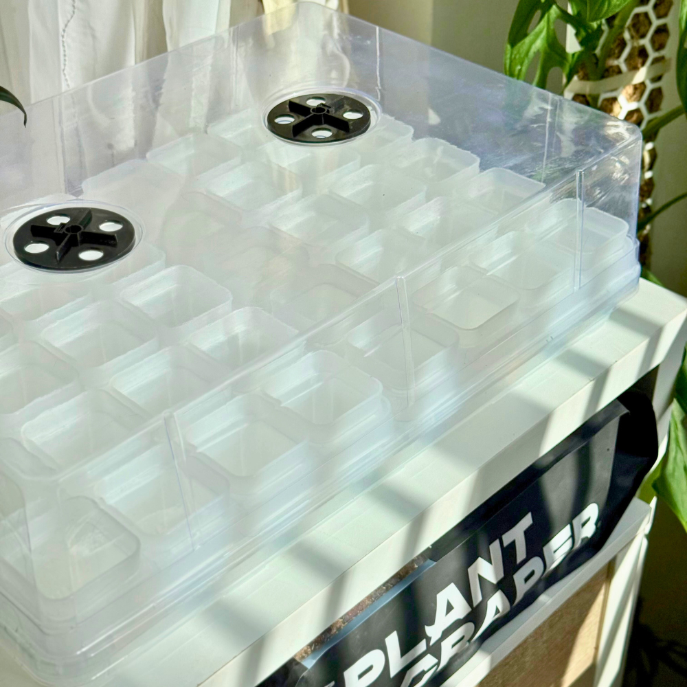 succulent propagation box Seed Starter Tray / Propagation Box – Adjustable Humidity Control for Effective Plant Propagation