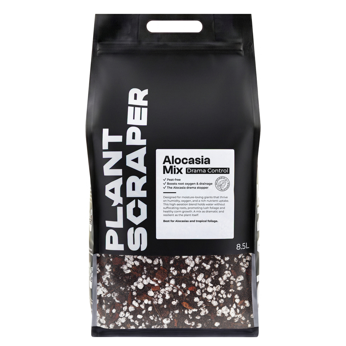 Alocasia mix 8.5 L