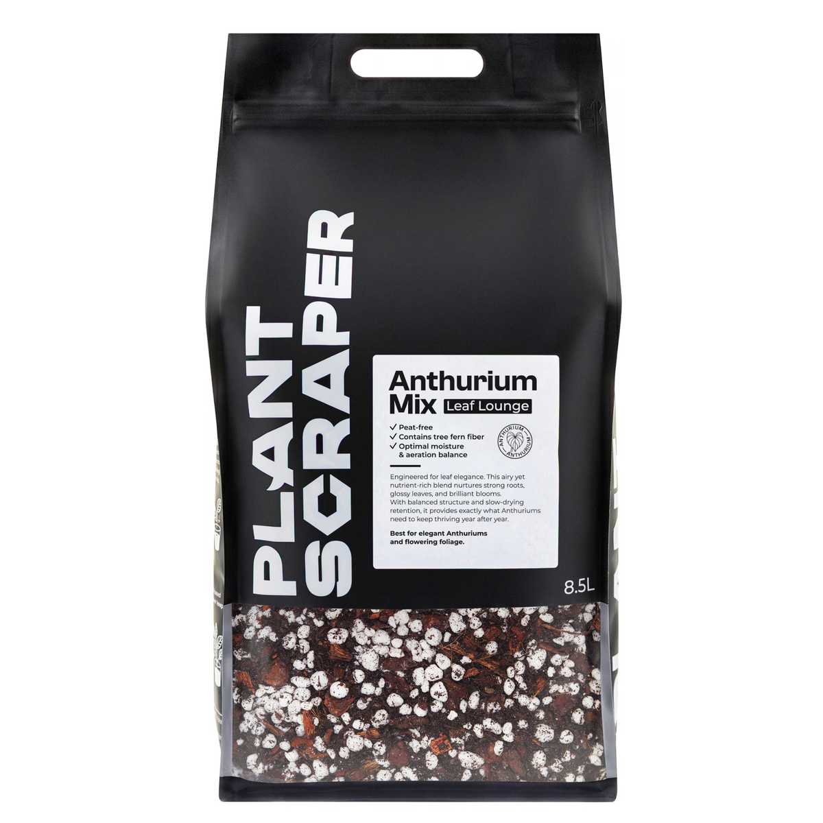 Anthurium mix 8.5 L