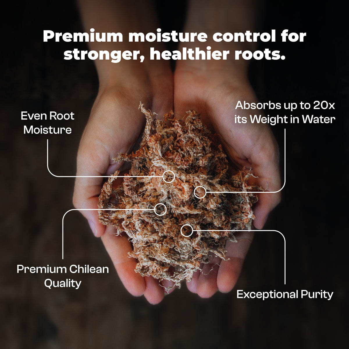 Musgo sphagnum, fibra larga de primera calidad, 300 g