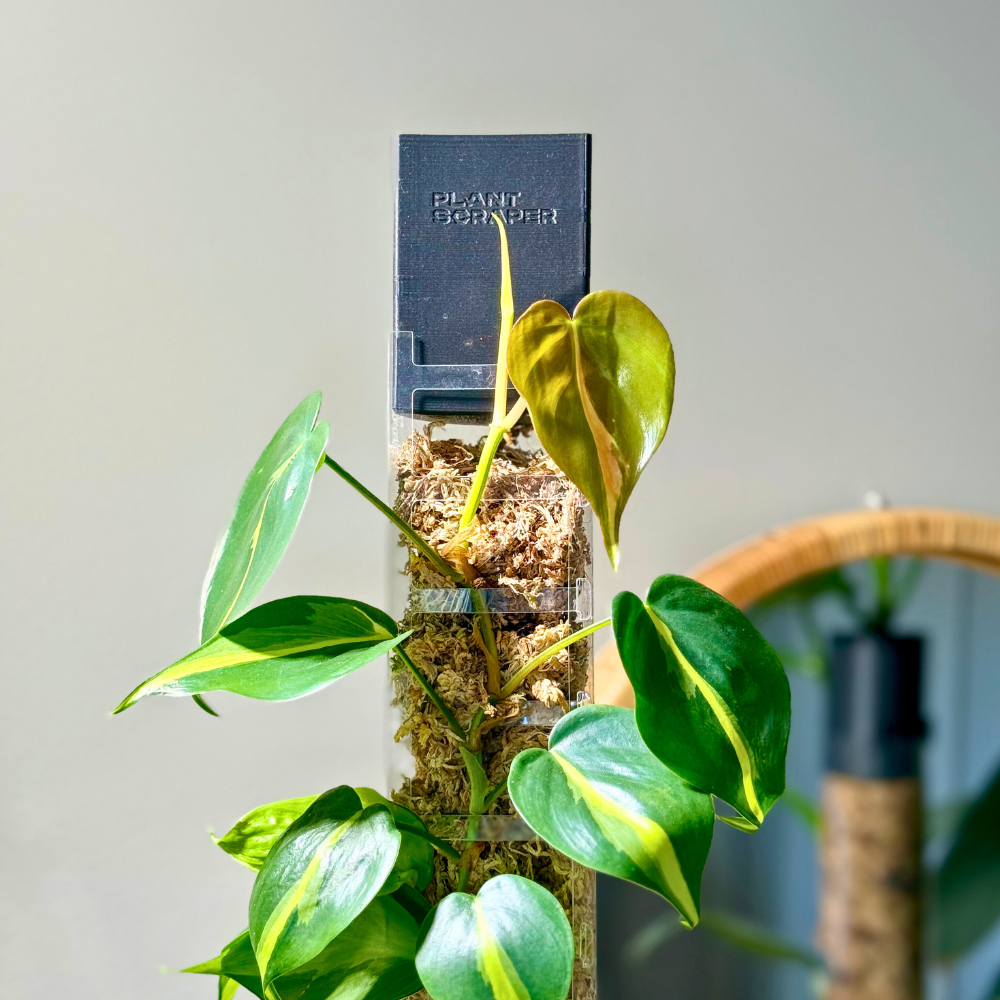 moss pole dripper D-Shape Moss Pole Dripper - Efficient Hydration for Your Plants