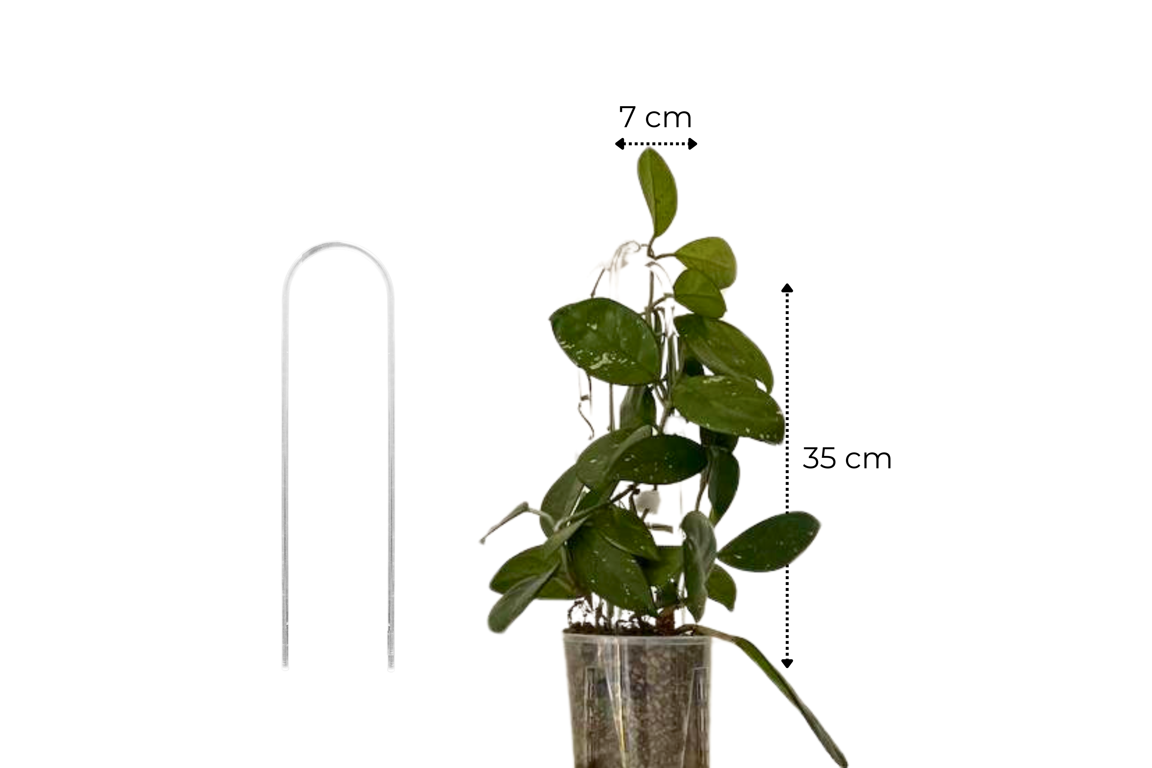 Clear Arch Trellis / U-Shaped Plant Support