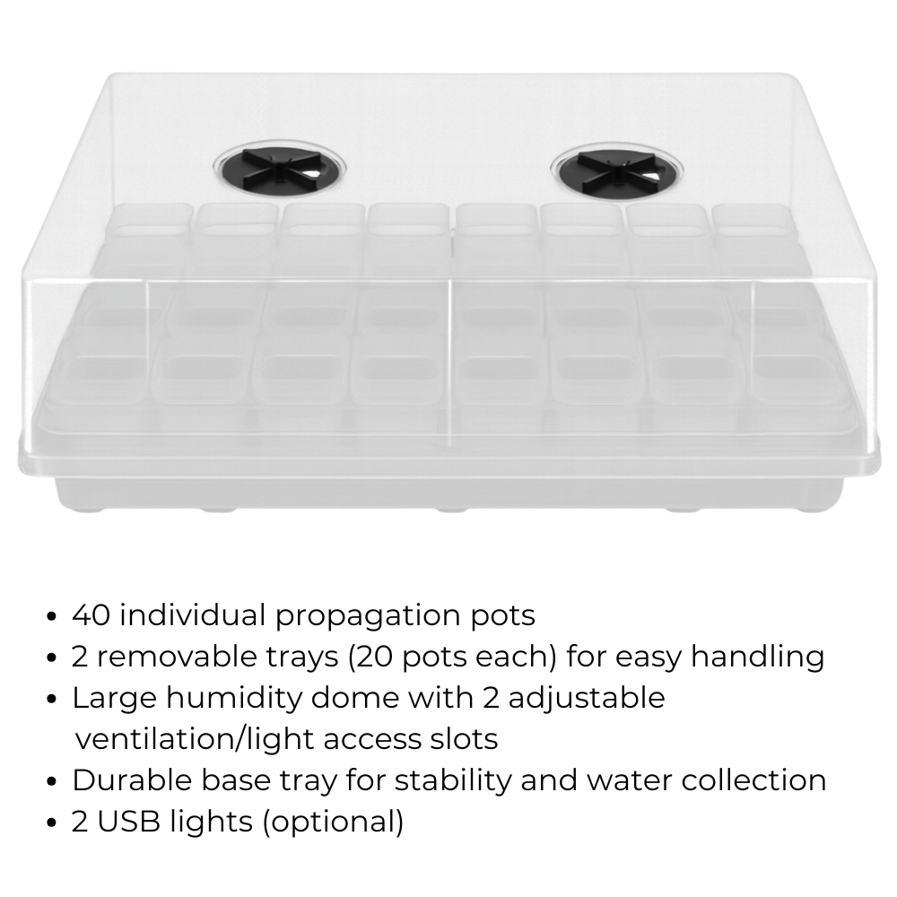 Transparent Seed Starter Tray / Propagation Box [XL]
